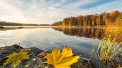 AUTUMN SEASON